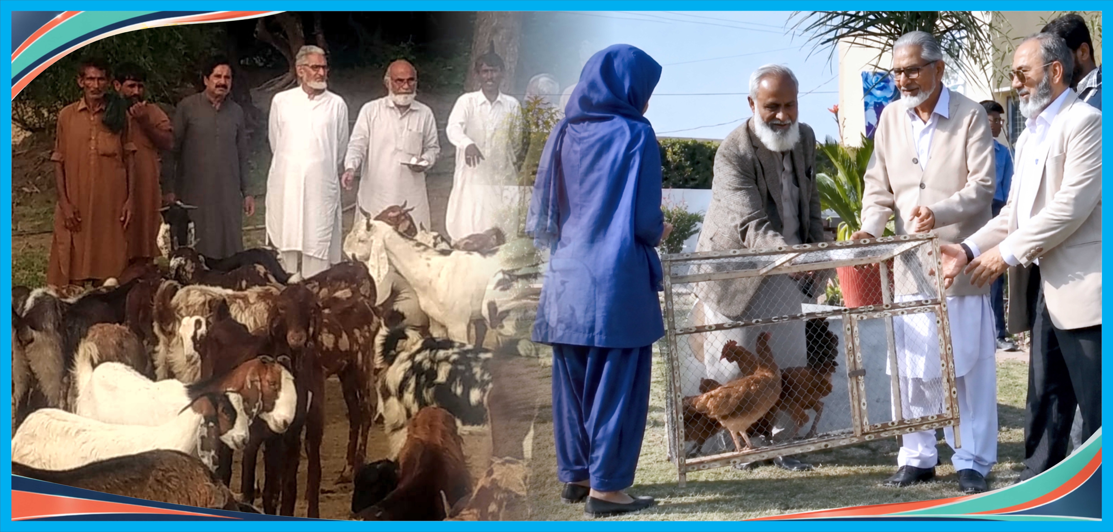 LIVELIHOOD SUPPORT